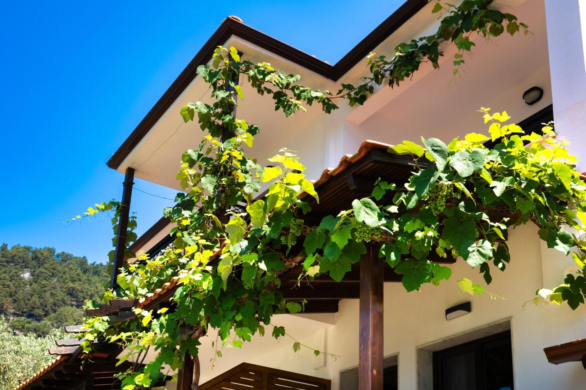 Island View Villa Golden Beach  Extérieur photo